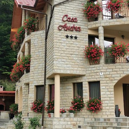 Casa Andra Otel Slănic-Moldova Dış mekan fotoğraf