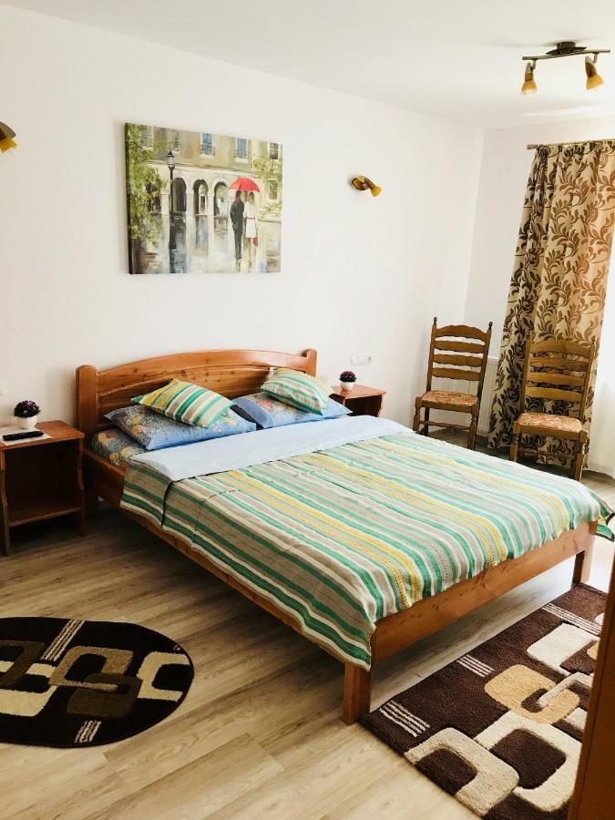 Casa Andra Otel Slănic-Moldova Dış mekan fotoğraf